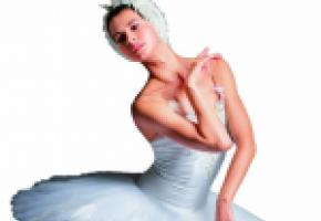 L’incontournable Lac des Cygnes est au programme de cette grande soirée. DR 