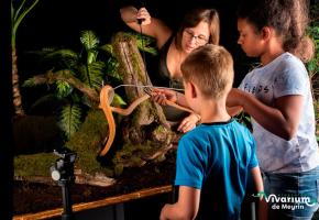Les jeunes apprennent, ici avec Marion Botelli, à manipuler les espèces et à respecter l’environnement. YANNICK WILLENER