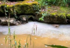 L’eau de la Seymaz a subitement changé  de couleur. VL