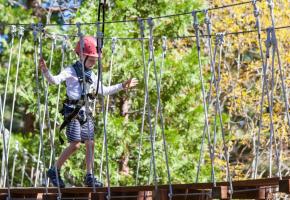 Le Bois-de-la-Bâtie aura-t-il un jour son acccrobranche? ISTOCK/NOBLIGE 