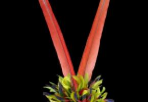 Près de 5000 pièces seront présentées, pour la première fois, au public. MEG, J. WATTS 