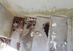 Aux Pâquis, l’escalier qui conduit les écoliers jusqu’aux cuisines scolaires est insalubre… DR 