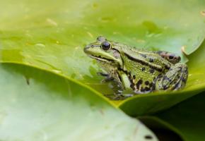  GETTY IMAGES/MARTIN FRIIS