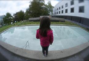 La Ville de Genève compte 357 fontaines publiques. A ce jour, 302 sont conformes, dont le bassin du Musée d’histoire naturelle, qui a été mis aux normes. STÉPHANE CHOLLET 