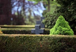 Le public pourra visiter le cimetière Saint-George, en petit train. VILLE  DE GENèVE Le public pourra visiter le cimetière Saint-George, en petit train. VILLE  DE GENèVE 