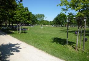 L’herbe en plastique poussera-t-elle aux Evaux? Pour l’instant, il ne s’agit que d’un projet au Municipal, ratifié par tous les groupes. EVAUX.CH/DR 