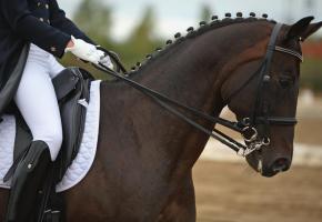  GETTY IMAGES/ MIKHAIL KONDRASHOV