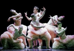 Six hommes en tutus: beaucoup de talent et de dérision. DR 