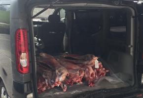 Des centaines de kilos de viande sont importés illégalement aux douanes genevoises! DR 