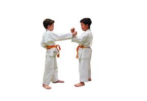 Le Karaté Club de Genève est menacé. DR 