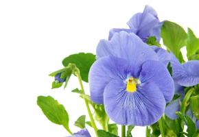  GETTY IMAGES/PETRDLOUHY