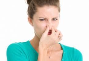  GETTY IMAGES/DRB IMAGES