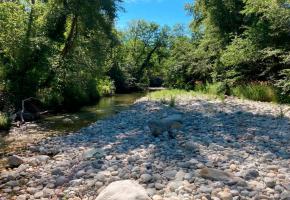 L’Allondon a été mise à ban vu son étiage. DIMITRI JACQUET 