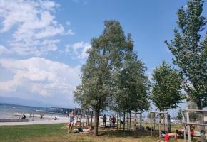 En période de grosses chaleurs, les places à l’ombre sont prises d’assaut.MP