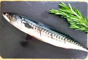 Maquereau grillé, vierge  de tomate, et palourdes