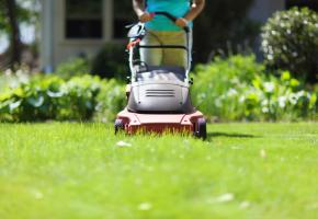  GETTY IMAGES/YINYANG