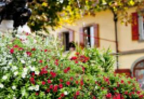  LORIS VON SIEBENTHAL