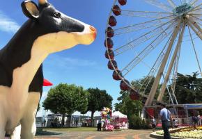 Les touristes qui débarquent au Jardin anglais le matin ne peuvent que photographier le Jet d’eau. 