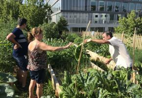 Les plantations collectives et écologiques de Saint-Jean. PHOTOS FRANCIS HALLER 