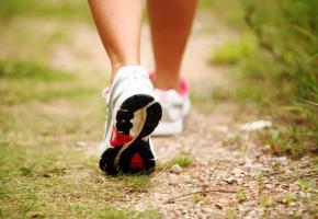  123RF/SERGEJS RAHUNOKS