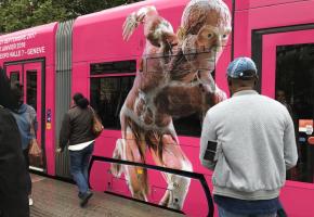 Une exposition controversée. FRANCIS HALLER 