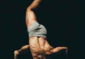 Faun et Noetic, fabuleux spectacle de Sidi Larbi Cherkaoui. FILIP VAN ROE