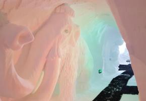 Rencontre impressionnante avec un tyrannosaure. DR 