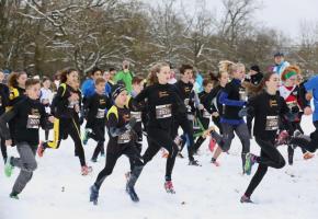  STADEGENèVE/OLIVIER HALLER