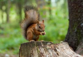  123RF/MARINA LESHCHEVA