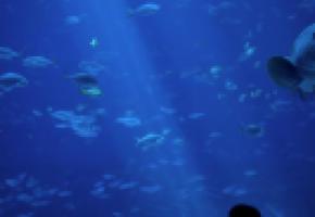 Un conte émouvant qui parle  du respect de l’autre. DR 