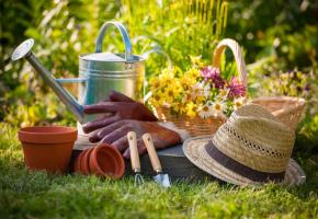  123RF/ ALEXANDER RATHS