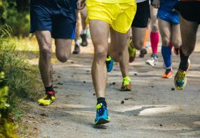 Le premier EcoTrail de Genève devrait attirer de nombreux mordus  de la discipline. 123RF/SPOTPOINT74 