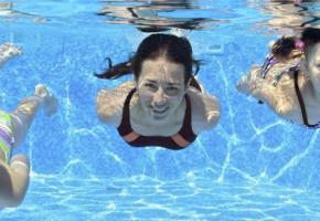 Un événement ouvert à tous. CAROUGE.CH 