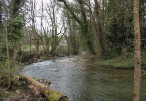 La rivière serpente à travers  les bois. MAIRIE DE VERSOIX 