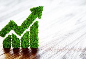 Faire fructifier ses placements en respectant l’environnement, c’est possible. DR 