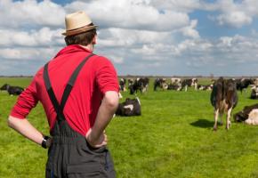 Deux initiatives majeures pour l’avenir de notre paysannerie et celui de notre alimentation. 123RF/IVONNE WIERINK