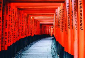 Le sanctuaire shintô Fushimi Inari. PIXABAY