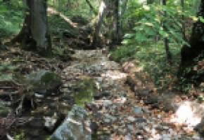 La Drize à Troinex est complètement asséchée. Elle était la rivière la plus productive  pour la pêche à la truite. DR