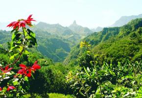 L’exceptionnel environnement de La Réunion est un paradis pour les randonneurs.