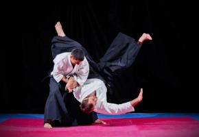 Initiations, cours, spectacles 