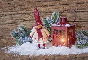 123RF/ELENA SCHWEITZER