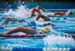 1223RF/ULRICH MUELLER