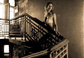 Pour qu’une activité professionnelle soit exercée dans des logements privés, les propriétaires 