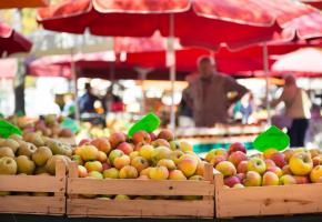 Les paysans vendent parfois eux-mêmes leurs produits sur les étals 