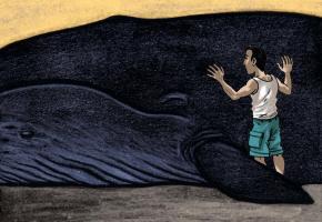 «La Baleine» en compétition suisse. DISTRIBUTION@NADASDYFILM.CH.TOM TIRABOSCO