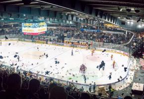 A chaque but marqué par les Grenat, les supporters lanceront des peluches sur le miroir. ROBIN-ANGELO FUSO