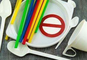 123RF/ ANDREAS STEIDLINGER