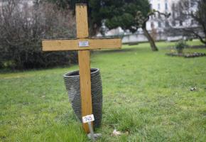Une simple croix en bois et un vase vide ornent la tombe de Jo-Johnny (en médaillon) au cimetière des Rois. CHRISTIAN BONZON/DR