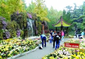 A Chengdu, au parc du Peuple, les jardins font figure d’oasis dans une mégalopole dont la population dépasse celle de la Suisse. 