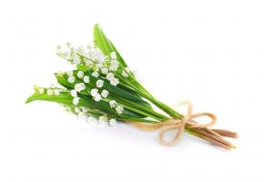 123RF/ PAVLO VAKHRUSHEV  